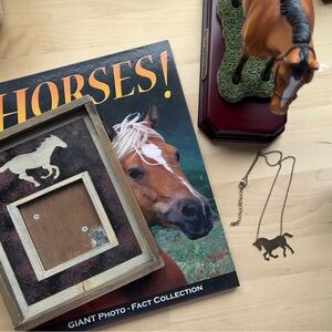 Bundled Collection Of Horses Western Themed items Book Figurine Frame Necklace